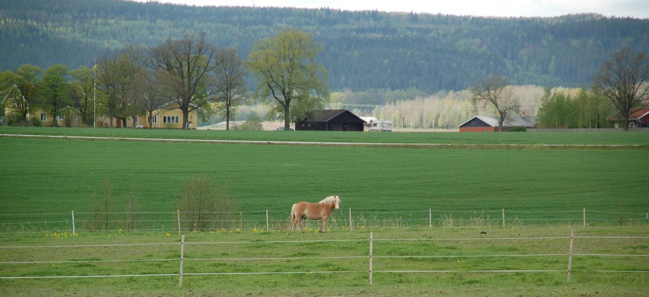 Vallby Farm Camp Orebro Exterior photo